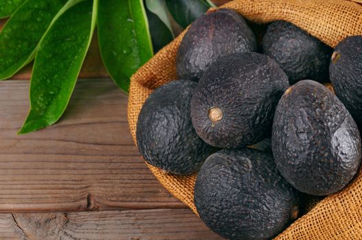 Still life  with Hass avocados in a burlap sack on a wood background with leaves. Horizontal with copy space.