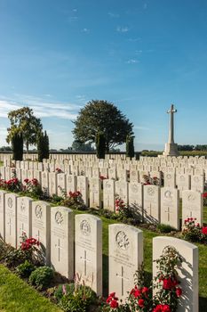 Proven, Flanders, Belgium - September 15, 2018: Overview of Mendinghem British war cemetery under blue morning sky. Green lawn, beige tomb stones and red roses with dark green trees sprinkled.