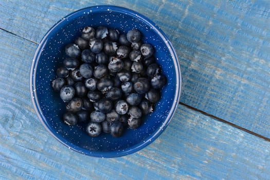 High angle image of an enamelware bowl full of fresh picked blueberries. Horizontal format on a blue wood kitchen table, with copyspace.