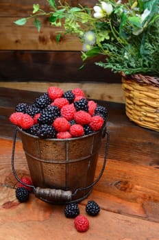 Fresh picked blackberries and raspberries in a galvanized pail on a rustic wooden table. Vertical format