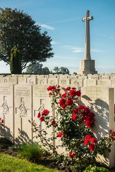 Proven, Flanders, Belgium - September 15, 2018: Closeup at Mendinghem British war cemetery under blue morning sky. Green lawn, beige tomb stones and red roses with dark green trees sprinkled.