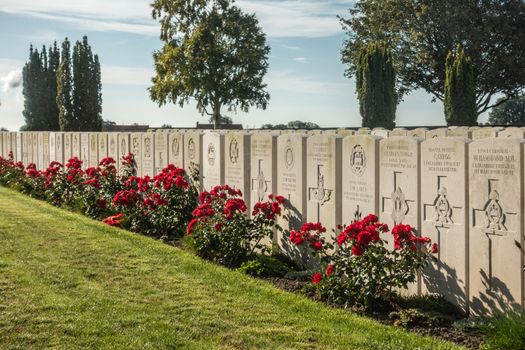 Proven, Flanders, Belgium - September 15, 2018: Closeup of row of tombstones at Mendinghem British war cemetery under blue morning sky. Green lawn and red roses with dark green trees sprinkled.