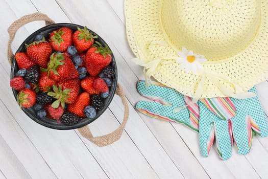 High angle shot of an old metal bucket of fresh picked berries on a rustic whitewashed wood table. A yellow sun hat and gardening gloves are next to the pail.