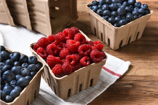 Closeup of containers of fresh picked blueberries and raspberries. 