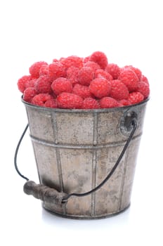 A pail full of freshly picked raspberries. Vertical format isolated on a white background with slight reflection.