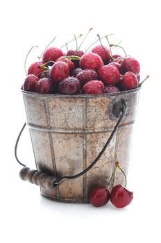 Fresh picked cherries in an antique metal pail. Vertical format over a white background with reflection.