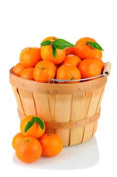 A basket full of Clementine Mandarin Oranges. Vertical format over a white background with reflection.