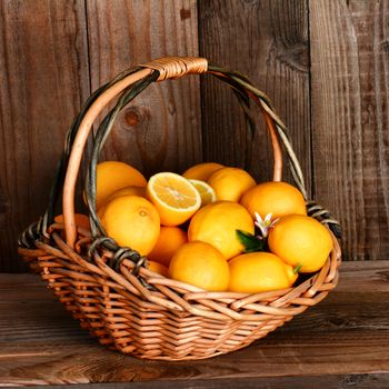 Closeup of a basket full of lemons in front of a rustic wooden wall and table. Square format with strong side window light.