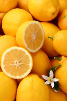 Closeup of a group of lemons with a cut lemon and a flower. Vertical format filling the frame.