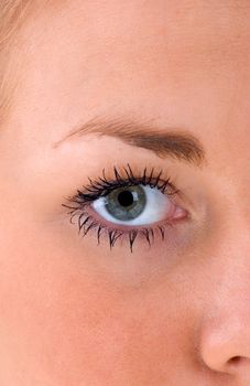 A close up of a beautiful female eye