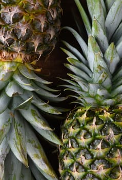 Pineapples: Closeup of two fresh ripe pineapples on a dark wood surface.