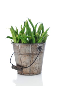 Fresh picked green beans in a rustic bucket over a white background with slight reflection.