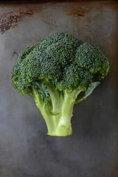 A head of Broccoli on a used and burnt metal baking sheet. Vertical still life with copy space. The word broccoli comes from Italian meaning  "the flowering crest of a cabbage".