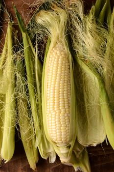 A partially shucked ear of fresh picked corn on the cob. Surrounded by silk and husk in vertical format.