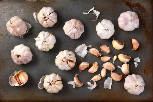 High angle view of garlic bulbs and cloves on a metal baking sheet. Whole bulbs and cloves are spread out on the surface. Horizontal format.