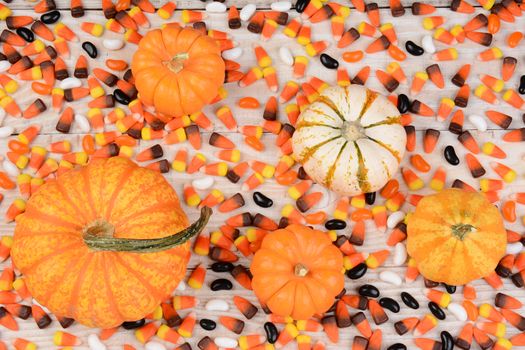 Overhead view of a wood table covered with candy corn and decorative pumpkins and gourds. Great for Halloween or Thanksgiving projects.