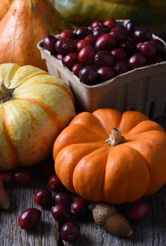 Autumn Still Life: Vertical shot with decorative pumpkins gourds and basket of fresh cranberries.