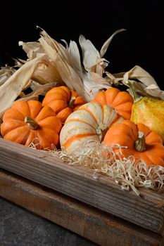 Closeup of decorative gourds and pumpkins in a wood crate against a dark background. The fall still life is in vertical format with copy space