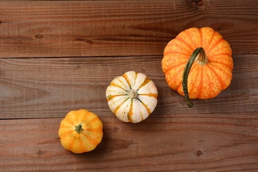 Decorative pumpkins and gourds still life on a rustic dark wood background. The three gourds are at an angle leaving copy space at the top and bottom.