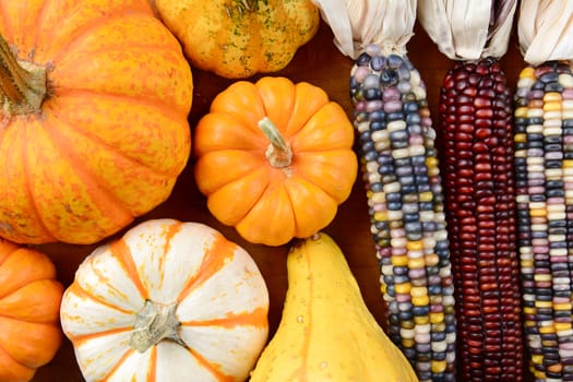 Overhead view of Gourds and Indian Corn filling the frame. Assorted decorative pumpkins, gourds and colorful flint corn, in horizontal format.