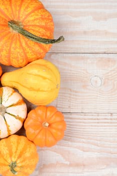 Overhead view of a group of gourds and pumpkins on a white wood table with copy space.