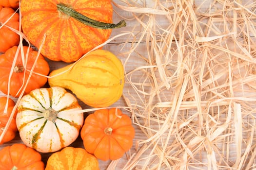 Overhead view of Ornamental gourds and pumpkins on a white rustic table with straw and copy space. 