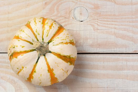 Top view of a tiger striped decorative pumpkin on a rustic white wood table. Horizontal format with copy space.