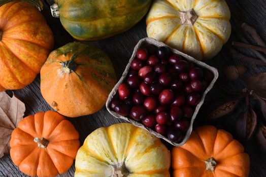 Autumn Still Life: Top view of an assortment of Fall decorative gourds, squash and pumpkins around a basket of fresh cranberries. 