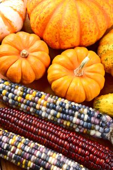 Vertical view of Autumn corn and ornamental gourds and pumpkins. High angle photo of colorful Fall decorations.