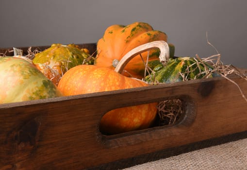 Various Autumn gourds, decorative pumpkins and squash in a wood box.