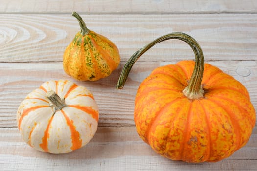 Decorative Gourds and Pumpkins on Wood table.