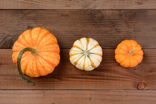 High angle shot of three different decorative pumpkins. Horizontal format. 