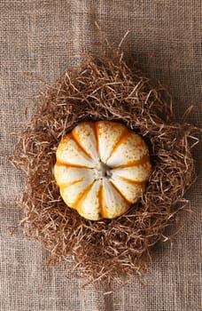 High angle view of a single decorative pumpkin in straw on a burlap surface. 