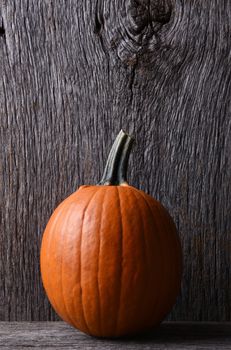 A medium sized carving pumpkin on display at a farmers market. Vertical format with copy space.