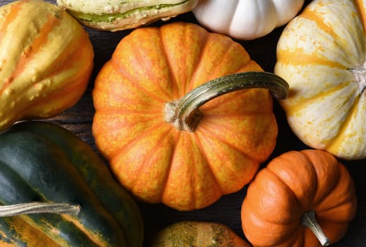 Horizontal overhead closeup shot of a group of decorative Pumpkins, Squash and Gourds. 
