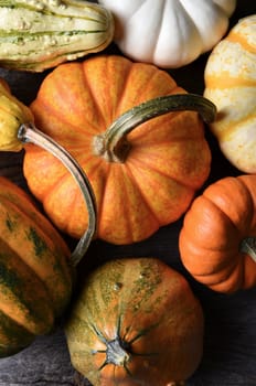 Overhead closeup shot of a group of decorative Pumpkins, Squash and Gourds. Vertical Format.