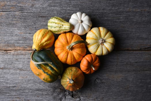 Closeup shot of a group of decorative Pumpkins, Squash and Gourds with copy space.
