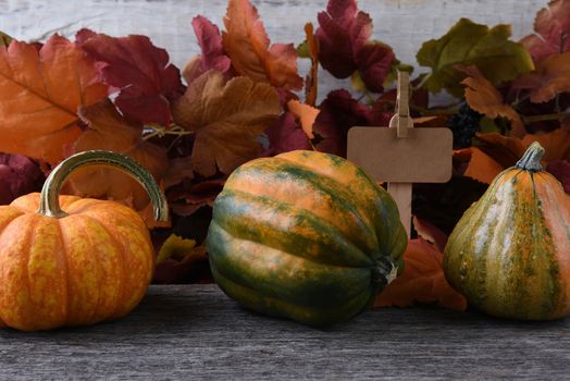 Autumn Farm Stand with gourds and pumpkins and Fall Leaves. A blank price sign is behing the produce.