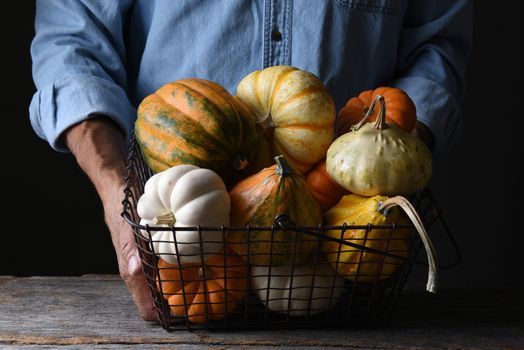 Farmer at his stand holding a wire basket of Autumn vegetables and decorative gourds and pumpkins.