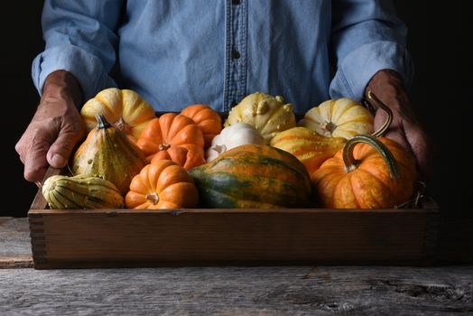 Farmer at his stand holding a wood crate of Autumn vegetables and decorative gourds and pumpkins. 
