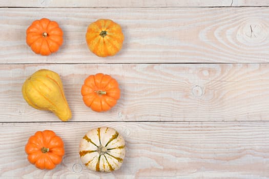 Gourds and pumpkins from a high angle on a white rustic wooden table. Horizontal format with copyspace.