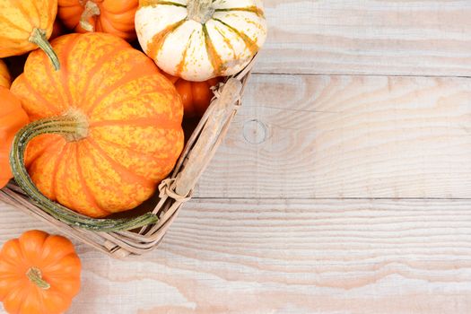 High angle image of a basket filled with autumn decorative pumpkins and gourds. Horizontal format on a white wood table with copy space.