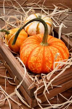 Closeup of decorative pumpkins and gourds in wooden crate with straw. Vertical format on a rustic wood table.