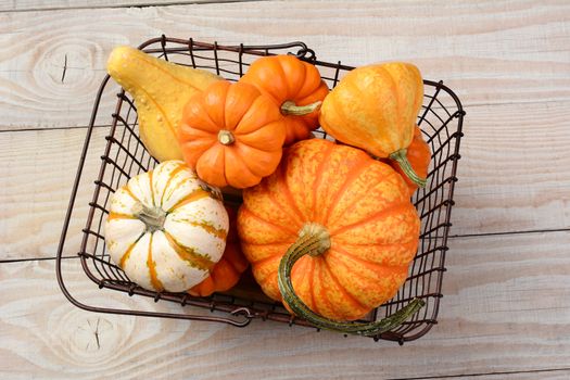 High angle shot of a variety of decorative pumpkins and gourds in an old wire shopping basket. Horizontal format on a rustic white wood table.