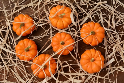 A group of mini pumpkins on a wood rustic table scattered with straw. High angle shot in horizontal format.