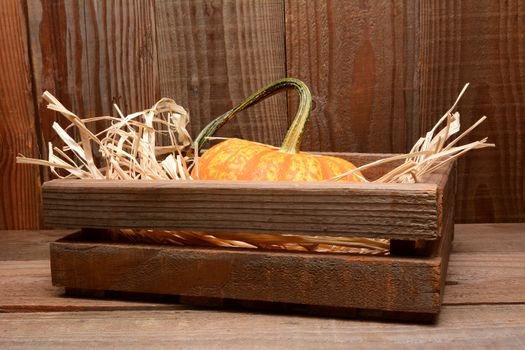 Closeup of a decorative pumpkin in a wooden crate with straw in a rustic wood barn setting.