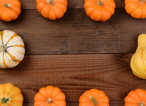 Mini pumpkins and gourds forming a frame with a blank middle, Horizontal format on a rustic wood background.