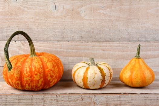 Three different pumpkins and gourds on a rustic wood shelf. Horizontal format with copy space.