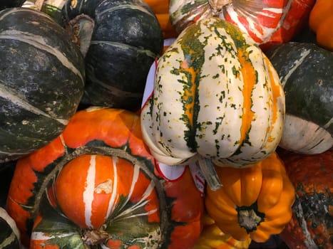 Decorative Pumpkins: Fall farmers market display of Ornamental pumpkins and gourds.