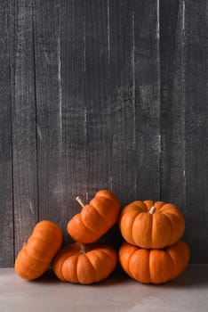 Five decorative mini pumpkins for Autumn display. Vertical against a dark gray wood background.